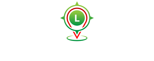 Leis D Voyz Logo